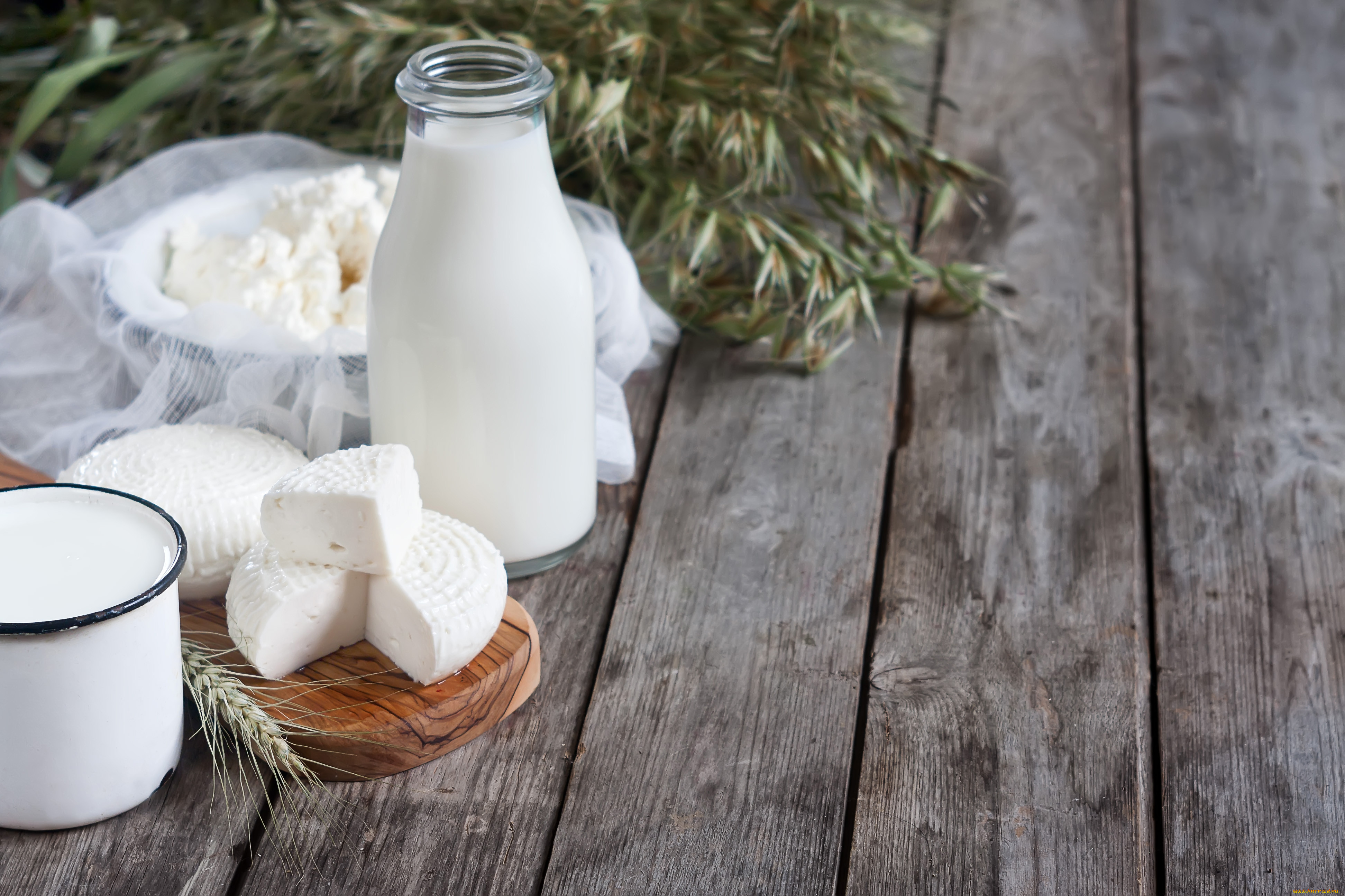 Обои Еда Масло, молочные продукты, обои для рабочего стола, фотографии еда,  масло, молочные продукты, молочные, продукты, сыр, творог, молоко, dairy,  products, cheese, cottage, milk Обои для рабочего стола, скачать обои  картинки заставки